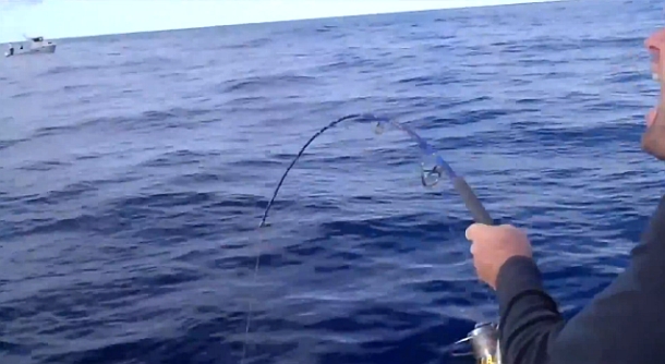 Image: Mick Fletoridis